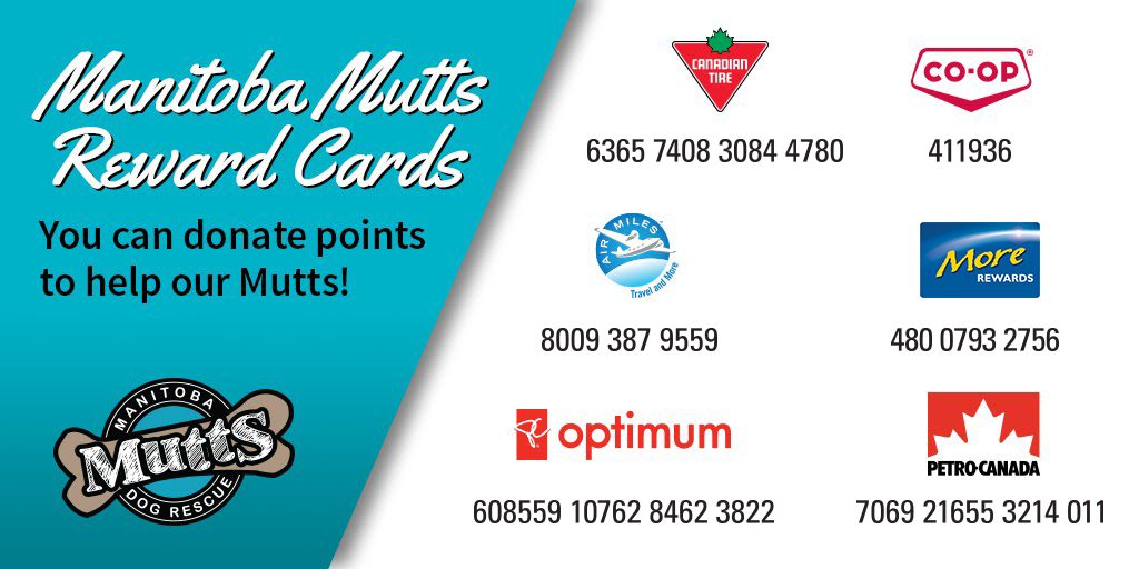 Home Manitoba Mutts Dog Rescue