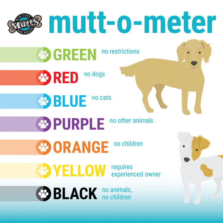 Mutt-o-Meter
