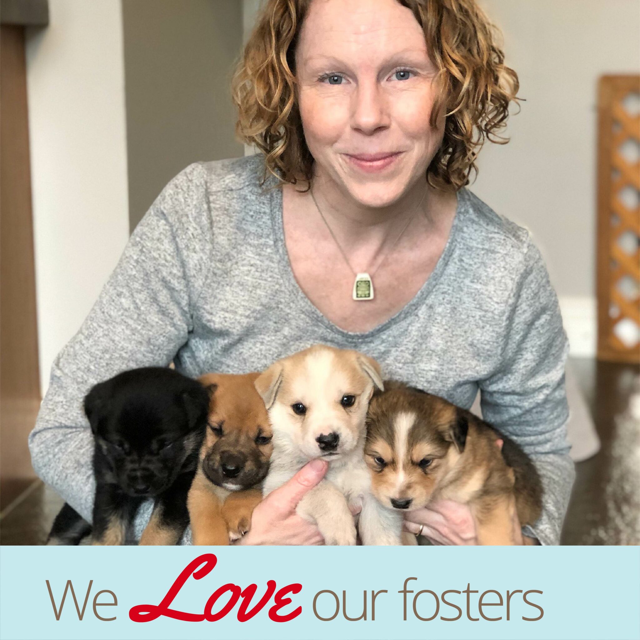 Become a Foster