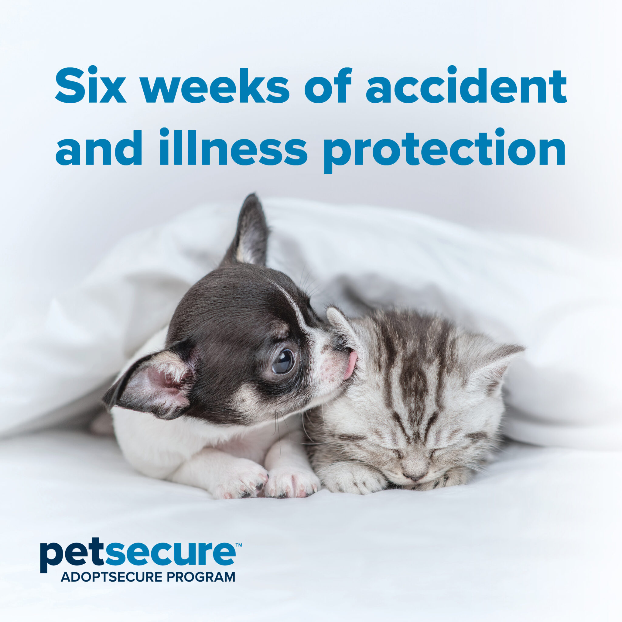 Pet Secure Insurance - Manitoba Mutts Dog Rescue